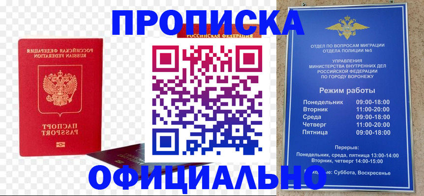 прописка иностранных граждан в Лесозаводске